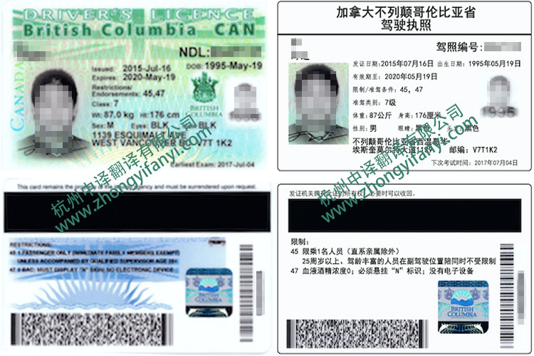 加拿大不列顛哥倫比亞省駕駛執照翻譯件模板及注意事項.jpg